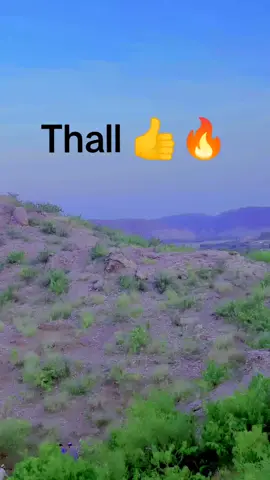 Thall 👍👍#ijazrehman323 #viralvideo #viraltiktok #foryou #foryoupage 