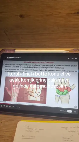gordugum an kaciyorum #fyp #anatomi #tıp 