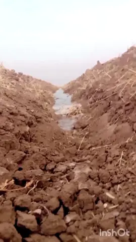 الفنان نصار عثمان الرفاعي جاك جاك استنى الجديد