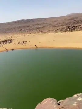 عليه الصلاة والسلام❤️