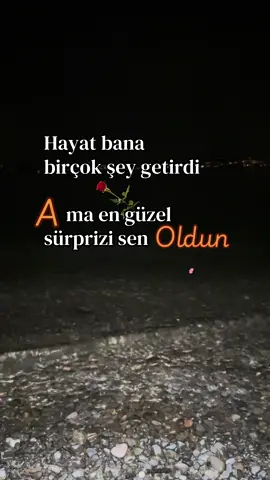 ——Sen benim en güzel aşkımsın🫵❤️#501🌞 #öneçıkar 