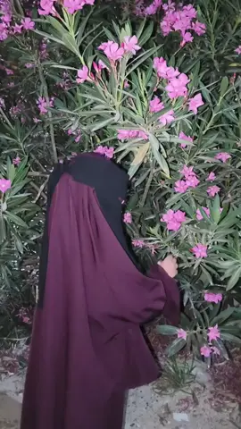شفتو لما شمت الوردة 😂🌷 #اطفال #لباس_شرعي #طفلة_صغيرة_محجبة #اكسبلور #بدون_موسيقى 