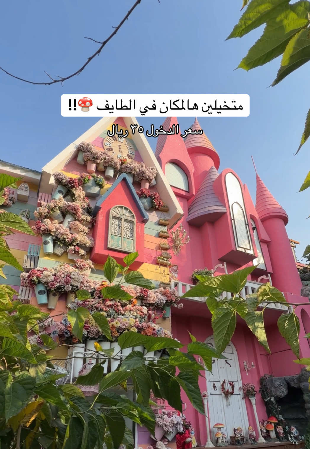 من الطف الاماكن في الطايف مناسب جداً للاطفال الدخول ٣٥ واقل من سنتين مجانًا 👌@قرية التوت #exploreاكسبلور #الطائف #سياحه#اماكن_الطايف #fyptiktok 