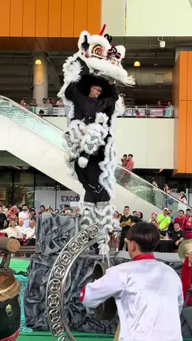 #舞狮 #舞狮表演 #舞龍舞獅 #liondanceperformance #liondance 舞龙舞狮