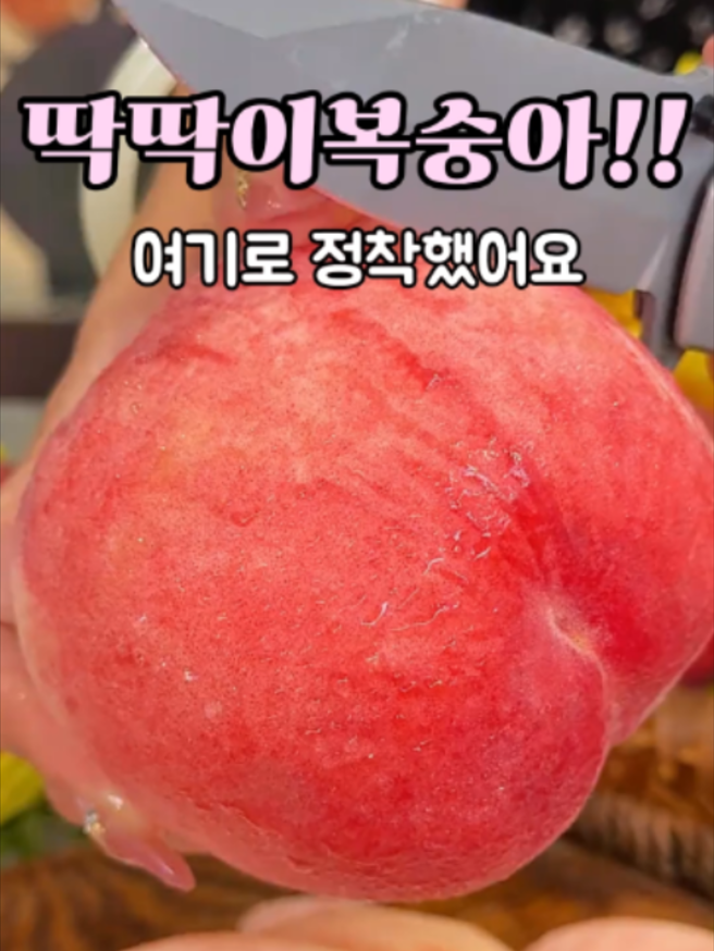 딱딱이 복숭아 여기로 정착했어요 #복숭아 #딱딱이복숭아#여름과일 #제철과일 #과일