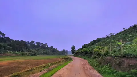 🥰 প্রকৃতি প্রেমিক 🥰 #foryou #fypシ゚viral #fypシ #trindingsong #trinding_video @Tiktokbangladesh 