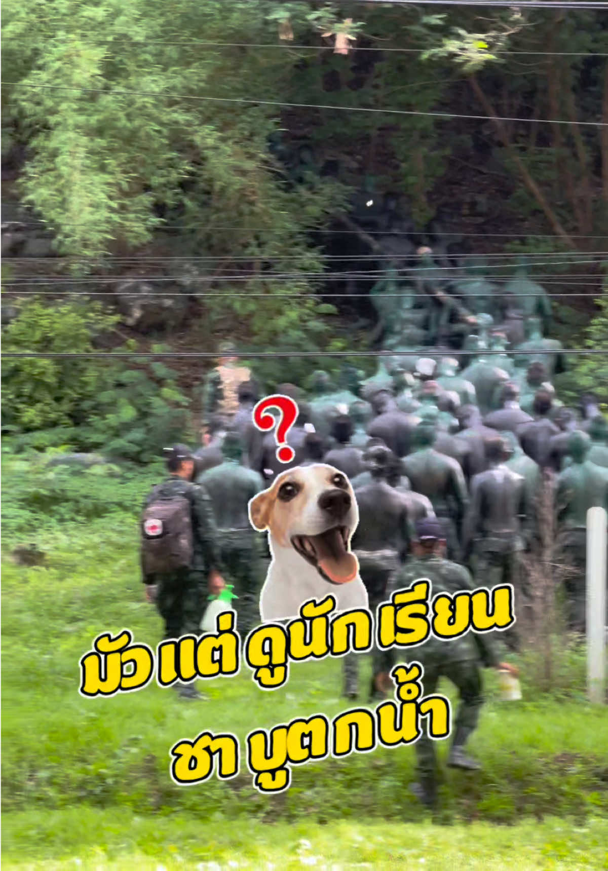 ชาบูตกน้ำ ลืมมองเลย #ชาบู #หมาหลักสูตร 