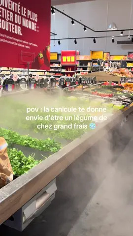 moi aussi je veux être au frais #canicule #grandfrais #prt 