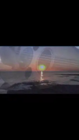 اصبحت حاكم وانا دوله #4u #explore #fyp #شعبيات #تاج_الحارثي 