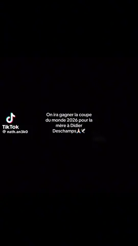 #diderdeschamps #equipedefrance 