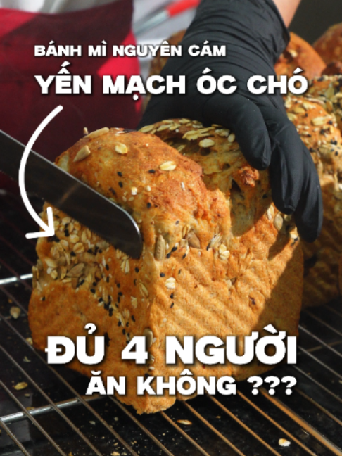 BÁNH MÌ NGUYÊN CÁM ĐỦ CHO 4 NGƯỜI ĂN KHÔNG ???  #friendshipcake #tiramisu #creamtart #croissant #eggtart