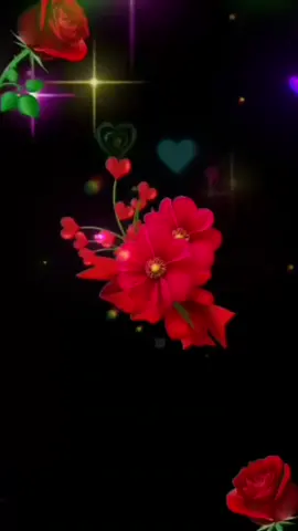 مرسين