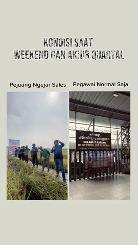 Sehat-sehat orang sales😭 #sales #salespertanian #pejuangrupiah #perintisbukanpewaris #karawang 