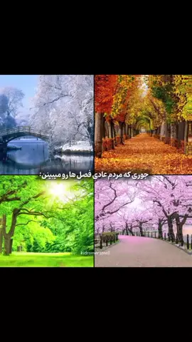 #foryou #kdrama  بهترین کیدرامایی که دیدین چی بوده؟
