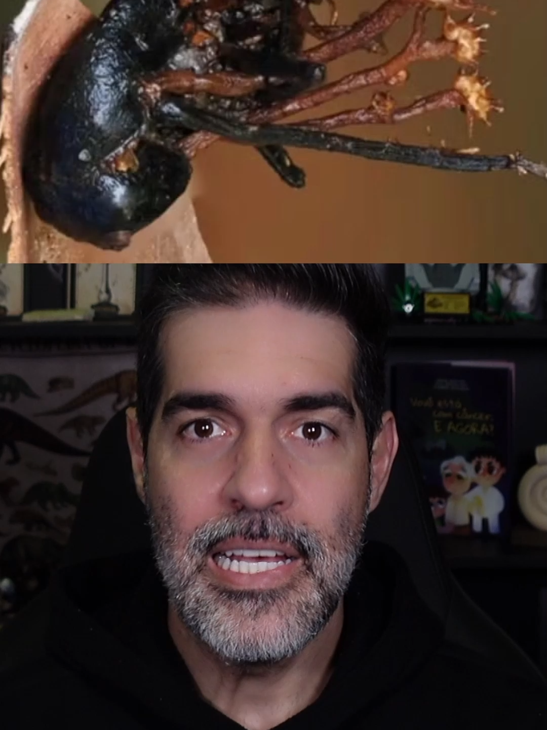 Fungo que parasita o Ophiocordyceps é descoberto  #biologia #ciencia #fungos #cordyceps #thelastofus