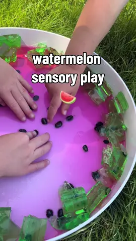 jello is always a big hit in sensory bins at our house! and summer is the perfect time for some messy sensory play outside ☀️🍉 for this toddler and baby-friendly sensory bin we used:  🍉 gelatin dyed pink and green with food coloring  🍉 black beans as seeds (skip if you’re doing with a young baby or worried about kids still putting small things in their mouth)  i love using unflavored gelatin because it’s sugar free (no stickiness or ants) and you can turn it into any color you want!  if you’re looking for more fun ways to entertain your toddler/baby this summer, follow along!  #sensoryplay #sensorybin #toddleractivities #preschoolactivities #babyactivities 