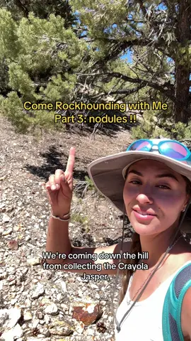 Come Rockhounding with me! We found some funky nodules on the way back down from collecting crayola jasper.  #rockhounding #nevadageology #rocksandminerals #rockhoundingnevada #geologyrocks 