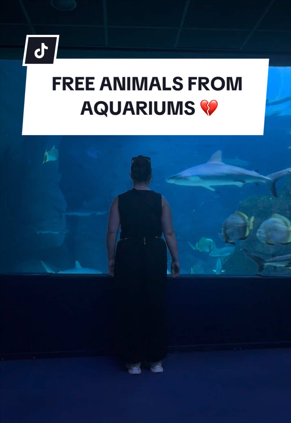 Aucun animal ne devrait nager dans une prison 😭❌ En regardant les réseaux, tout le monde met la musique de Vaiana en visitant des aquariums. Mais ne voyez-vous pas que ces deux endroits n’ont rien à voir ?😢💔 Entre une prison et la liberté, cette musique est incomparablement mal choisie… L’aquarium se trouve à 2 minutes de la mer… à quelques mètres seulement. Et des animaux sont exposés pour divertir… Je voudrais être dans un film, briser ces vitres et voir les animaux retourner dans leur vrai milieu naturel… mais la réalité est différente : ces animaux restent emprisonnés, se reproduisent et laissent leur dernier souffle loin de leur vraie maison 💔 Les animaux sauvages en captivité n’ont plus rien de sauvage… ❌ La captivité leur vole leur vie 💔 Boycottez les aquariums ❌ Boycottez les zoos ❌ Boycottez les cirques ❌ ⚠️ Boycottez le divertissement au prix de la vie d’un animal ⚠️ Les animaux sont les seuls prisonniers à être enfermés pour des crimes qu’ils n’ont jamais commis. Leur seul tort est d’exister ❤️ *Vidéo réalisée à l’aquarium de Biarritz* #aquarium #zoo #sadstory #freeanimals #travel 