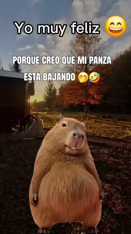 #Meme #MemeCut #CapCut 