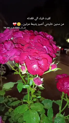 #قهوة_مرة #اكسبلور #حالات #خواطر #مشاعر 