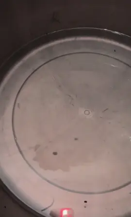 Halo buat mu disana…Semoga vt ini lewat padamu walaupun kita sudah tidak ada lagi saling tau mana satu sama yang lain tapi aku berharap video ini kamu baca… terimakasih yah buat 3 tahun lebih nya mungkin aku sudah mengikhlaskan semua walaupun belum susah untuk jalaninnya tapi pasti aku bisa jalanin hidup ini walaupun sakit 🥺😭dalam ceritamu akulah penjahat ☺️tapi ada baiknya aku mengucap terima kasih atas selama ini setidaknya kamu sudah pernah hadir dalam cerita hidupku🙂mungkin kamu tahu bahwa kamu adalah salah satunya tempat pulang rumah ,tempat cerita tapi kamu menghancurkan ekspektasi ku.aku tidak mungkin meninggalkan mu secara cepat melepaskan tetapi karena aku niat hati tulus aku cuman mau memperbaiki dan merubah diri mu menjadi laki-laki yang baik untukku karena niatku adalah kamu sudah jadi pilihan tujuan aku untuk memilih mu tetapi aku belum bisa jadi wanita yang sempurna.aku sudah menerima kekurangan dan kelebihan mu .sudah nemanin keluh kesah mu tapi semoga dia sadar cara ku salah tetapi dengan caraku dia bisa memperbaiki nya kalau emang dia benar-benar sayang sama pilihannya.aku gak tahu cara gimana lagi yang harus ku buat berulang ulang tapi cukup aku mengikhlaskan semuanya berlahan🙂tapi aku percaya aku bisa melewati itu semua yang pernah kamu buat sama aku itu bakal kuterima dengan lapang dada walaupun terlalu berat 😥🥺semoga ku pastikan kamu tidak akan menemukan perempuan seperti ku lagi jangan tanya seperti apa ketakutan yang aku alami mungkin kurang lebih kamu sudah tau.semoga apa yang kau perbuat kepadaku tidak terjadi kepada adik perempuanmu.aku mencoba seperti ini karena baru ini aku coba untuk melakukan seperti ini biar aku bisa menemukan jalan terbaik.semoga suatu saat nanti kamu bakal tahu perempuan mana yang dulu nemanin proses mu kalau bukan perempuan mu yang dulu waktu kamu terjatuh pasti bakal engkau ingat .semoga tuhan memberikan jalan terbaik untuk kita berdua😭😭😭#fffffffffffyyyyyyyyyyypppppppppppp #fupシ #fyp #terharu #tiktok 