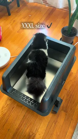 The flood exposed something gross about our plastic litter boxes 😳 We upgraded to stainless steel and haven’t looked back. No odor absorption, easy cleanup, high walls for less mess, and it even comes with a scooper. 🐾 #dealsforyoudays #summerwins #catlife #catlitterbox #catmom 