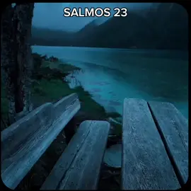 O Senhor é meu pastor, nada me faltará 📖✝️ #evangelho #Deus #Jesus #fe #fyp 