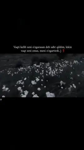 ❗️
