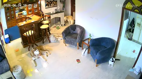 Así se vivió este terremoto en Caracas