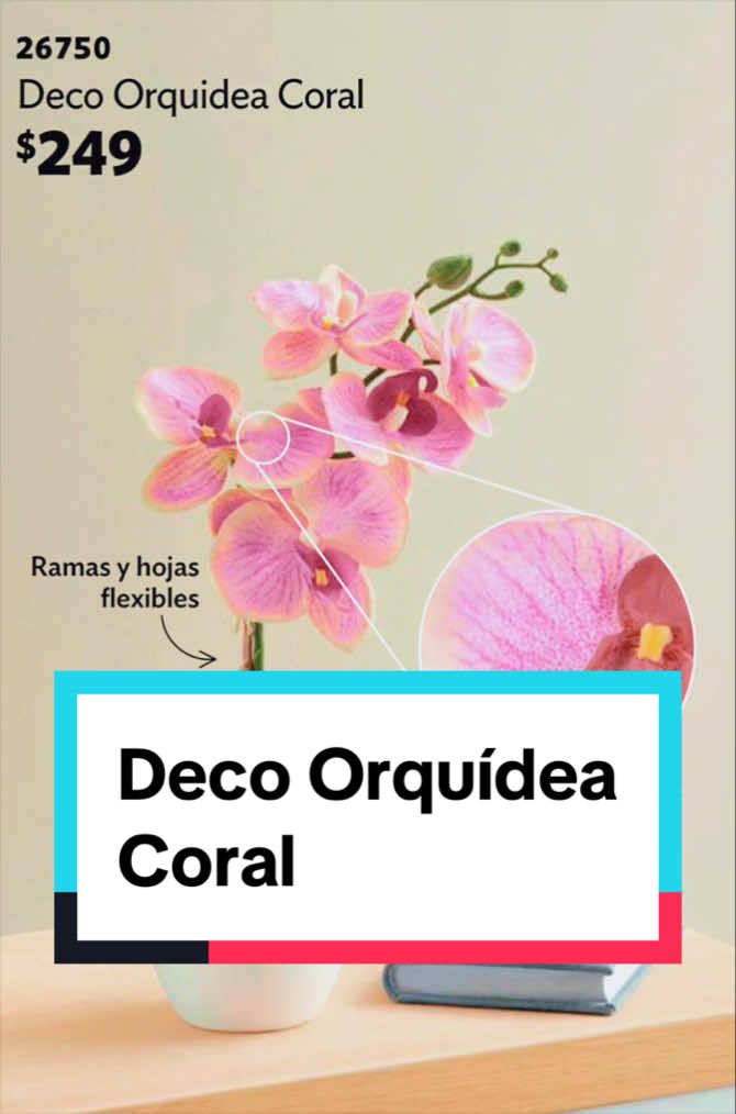 🌸 Dale un toque elegante y natural a cualquier espacio con la Deco Orquídea Coral.    Su diseño con textura realista, flores detalladas y ramas flexibles la hacen lucir como una planta natural, pero sin los cuidados que requiere una orquídea viva. Ideal para decorar salas, oficinas, recámaras o cualquier rincón de tu hogar. ✨ 💰 Solo $249 📦 Clave: 26750 🏡 ¡Belleza y estilo que duran todo el año! #Betterware #DecoraciónDelHogar #OrquídeaCoral #HogarBonito #IdeasParaDecorar   