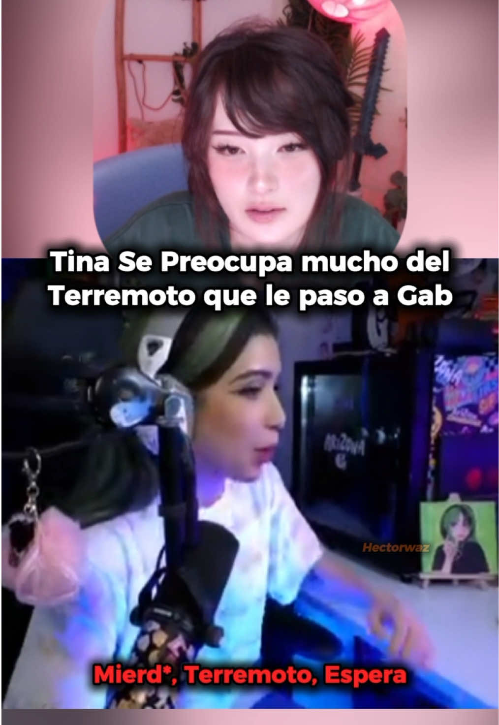 Tina Se Preocupa de lo que FeirlyGab Percató en Venezuela 🇻🇪 🥹 #tinakitten #feirlygab #streamers #minecraftextremo #hectorwazoficial 
