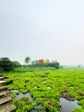 শুনলাম তোমার নাকি বিয়ে হয়েছে 💔🥲 . . . . . . . . ......#foryou #foryoupage #viralvideo #vairal 