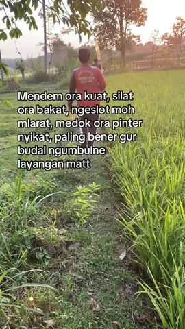 Porayo ngono matt? #pelayangblitar #storypelayang #fypシ゚viral #4u #bandigank 