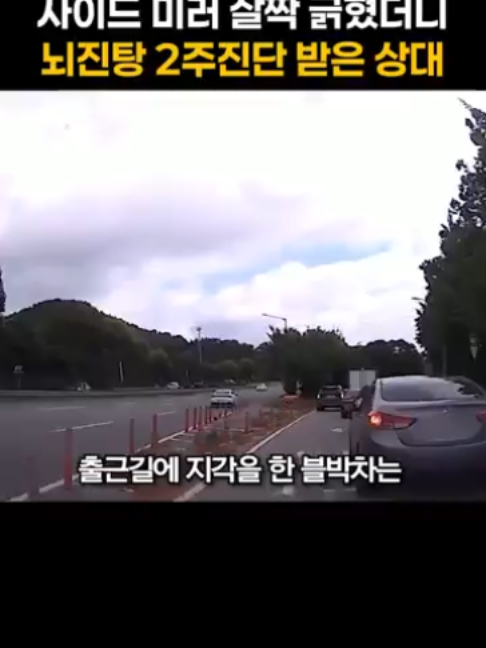 사이드미러 살짝 긁히고 뇌진탕 걸린 상대