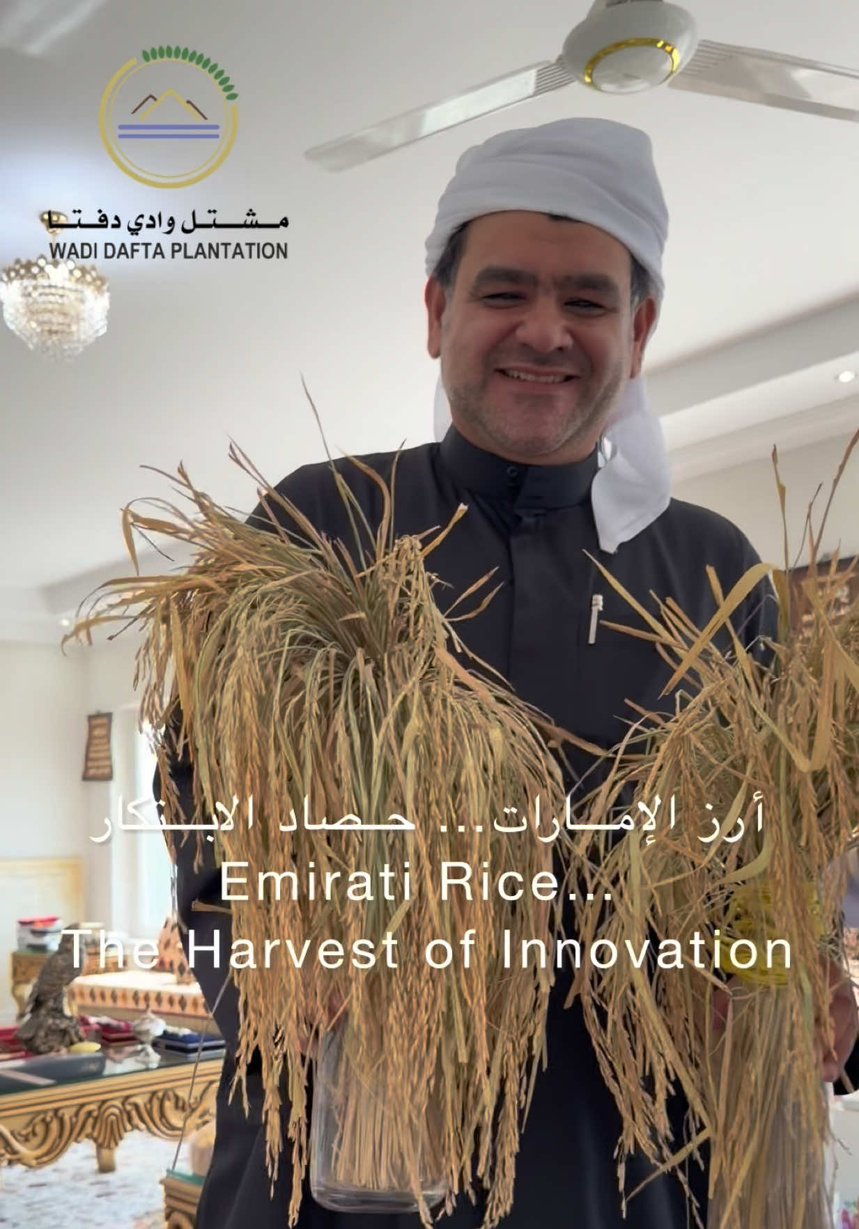 هل تصدق؟ زراعة الأرز نجحت في الإمارات! Believe It or Not: Rice is Successfully Grown in the UAE سعدت بزيارة مزرعة الشفق في منطقة الفلي – مليحة، بدعوة كريمة من الأخ العزيز الدكتور أيوب علي أهلي، للاطلاع على تجربة مميزة وملهمة في زراعة الأرز في دولة الإمارات. ما لفت انتباهي لم يكن نجاح زراعة الأرز فحسب، بل الفكر والابتكار اللذان يقفان خلف هذه التجربة. فقد تم تصميم أحواض خاصة مبطنة بطبقة عازلة للمحافظة على المياه، مما ساهم في تقليل استهلاكها بشكل كبير، وهو حل ذكي يتناسب مع طبيعة مناخ منطقتنا وندرة الموارد المائية. كما استعرض لنا الدكتور أيوب رحلته في جمع أصناف الأرز من مختلف دول العالم، وإجراء العديد من التجارب والمقارنات لاختيار أفضل الأصناف من حيث الإنتاج والجودة والقدرة على التأقلم مع بيئة الإمارات، في عمل يعكس الشغف والإصرار وحب البحث والتطوير. ومن أجمل لحظات الزيارة أن تناولنا الغداء من أرز المزرعة نفسه، لنرى ونذوق ثمرة سنوات من البحث والتجربة والعمل المتواصل. كل الشكر والتقدير للدكتور أيوب علي أهلي على كرم الضيافة، وعلى مشاركتنا هذه التجربة الزراعية الرائدة، وأتمنى له دوام النجاح والتوفيق، وأن تكون هذه المبادرات مصدر إلهام لكل من يسعى إلى تطوير القطاع الزراعي في دولة الإمارات. مزرعة الشفق 📞 +971 50 567 5990 📞 +971 56 169 8552.                         #رز #rice #الأمن_الغذائي #مشتل_وادي_دفتا #احمد_الحفيتي 