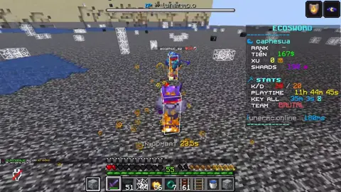 -1 hack sv lunermc.online