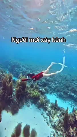 Cùng nhau xây kênh nhé các bà #nguoimoixaykenh #tapxaykenh #flowcheo 