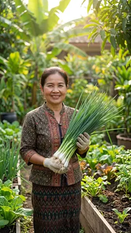 #เมล็ดพันธุ์ผัก #เมล็ดพันธุ์ผักแบ่งขาย #หอมเเบ่ง #เมล็ดพันธุ์ผักสวนครัว #ขายดี 