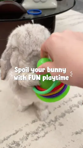 Grab yours via the link below! Spoil your tiny fur babes with safe, FUN playtime 🤩🐰🩷 #bunnymom #pettoys #rabbitsoftiktok #bunnylove #tiktokmademebuyit 