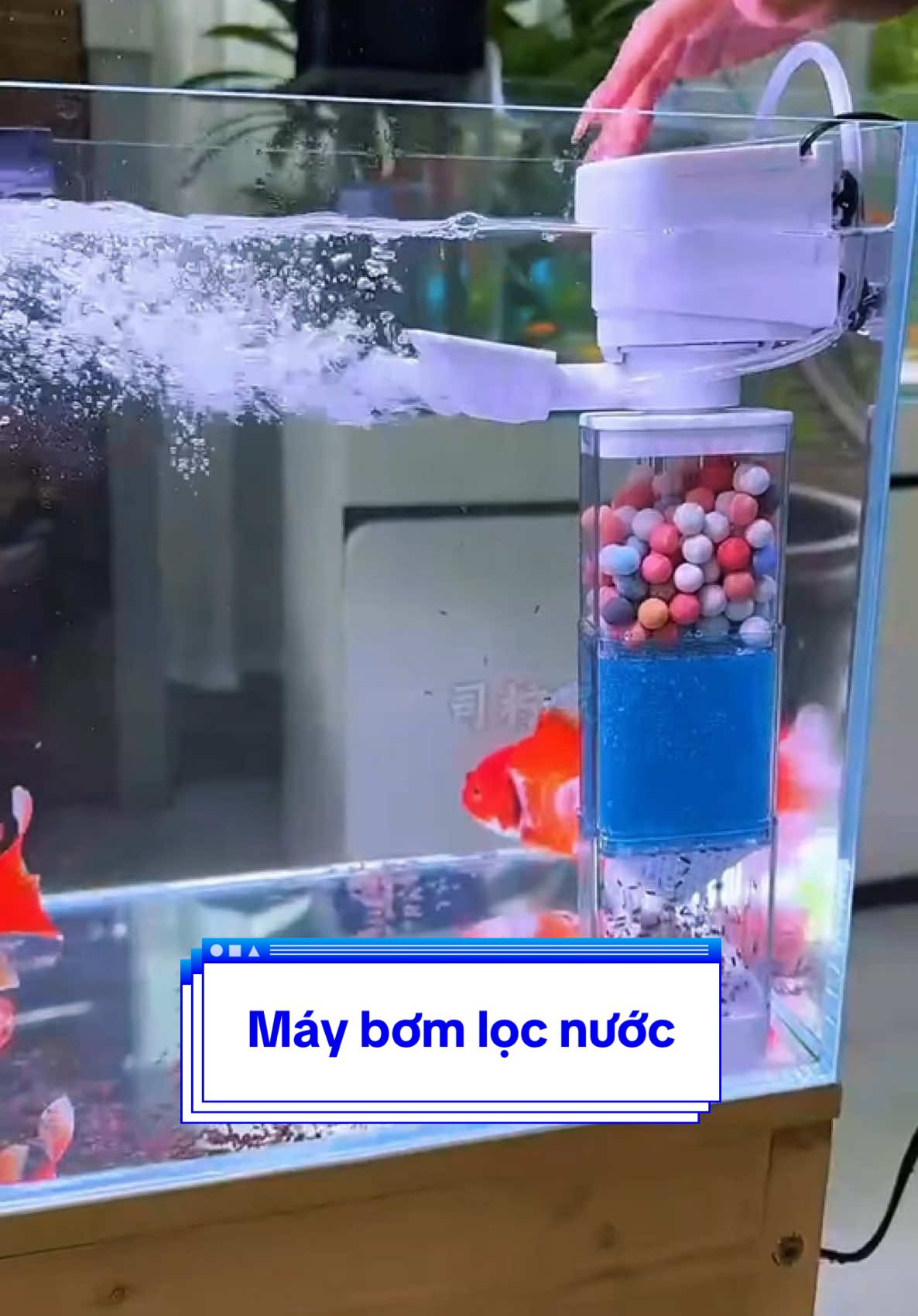 Máy bơm lọc nước đa chức năng: thổi luồng, tạo oxy, thay nước, hút đáy đều được ✅ #maylocdanang #maylochoca #chamcathuysinh 