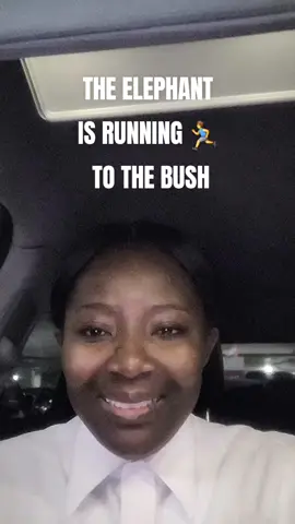 THE ELEPHANT HAS FALLING FLAT 🤣🤣🤣 #KENCAN  #GHANAFIRST  #WOMEN4KEN 