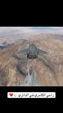 مضايقنا في سماء ربي الواسعة 👆🏻💔  #warthunder #dcs 