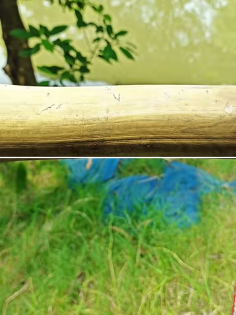 Strongest Rope Knot in 10 Seconds! Survival Knot Hack ✅ shortsfeed knotting short viral#tricks