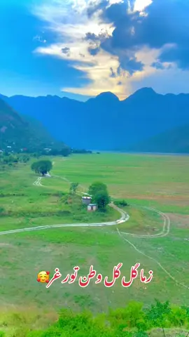 زما گل گل وطن تورغر اباد راتہ اوسی🤲🥰 #torghar #watan #akhpal #kaly #hassanzai 