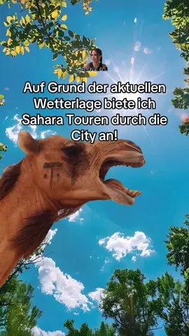 Sahara Tour durch die City ☀️🐪 #sahara #tour #sun #camel 