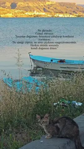 Herkes bir süre rol yapabilir ama kimse sonsuza kadar karakterini saklayamaz. Zaman, insanın gerçek yüzünü mutlaka ortaya çıkarır... #CemalSüreya #AnlamlıSözler #DuygusalVideolar #Keşfet #tecrubedefterim