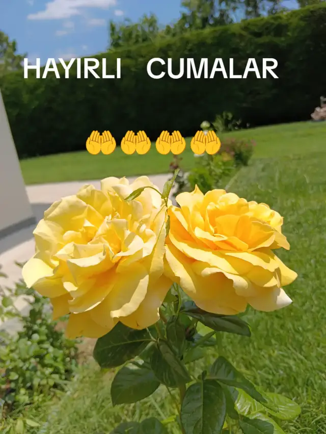 Hayırlı Geceler 🙋🙋🙋