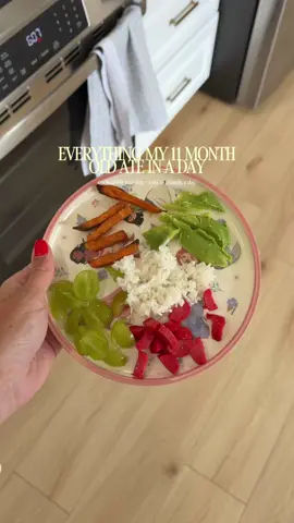 Everything my 11 month old eats in a day!! Everyday is very different but she almost always nurses 3 times + has 3 meals w/ snacks in between 🥞🍓🫐 #11monthsold #babyfood #babyledweaning #babyfoodrecipes #whatmybabyeats 