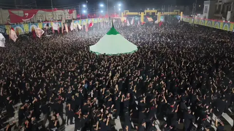 يا أبا فضل لعباس #موكب_شهيد_الجمعة_الحسيني #سوك_الشيوخ #سيد_فاقد_الموسوي 