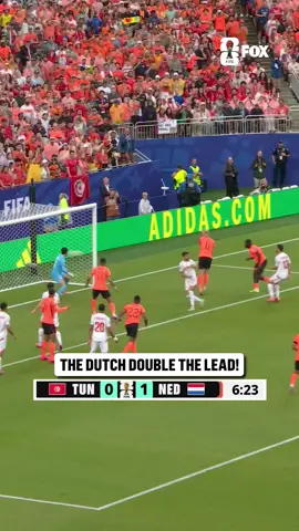 IT'S BRIAN BROBBEY FOR THE DUTCH 🇳🇱 #FIFAWorldCup #dutch #netherlands 